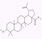 白桦脂酸
