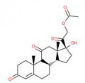 Cortisone Acetate