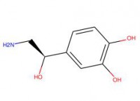 去甲肾上腺素