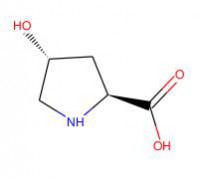 反式-4-羟基-L-脯氨酸