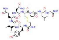 Oxytocin