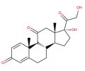泼尼松(250 mg)
