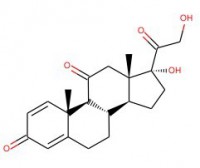 泼尼松(250 mg)