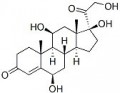 6?-Hydroxy Cortisol