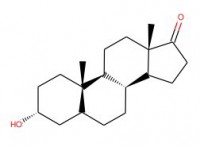 3a-羟基-5b-雄甾烷-17-酮