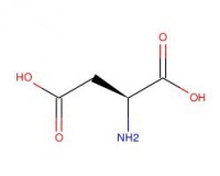 L-天冬氨酸
