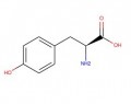 L-酪氨酸