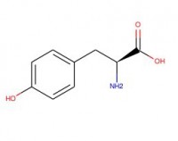L-酪氨酸