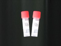 豆腐果新苷B