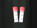 辅酶Q10