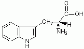 D-色氨酸