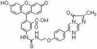 3,7-二氢-6-[4-[2-[N'-(5-荧光素)硫脲基]乙氧基]苯基]-2-甲基咪唑[1.2-a]并吡嗪-3-酮