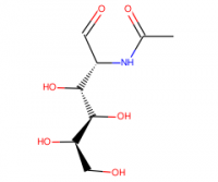 N－乙酰－D－半乳糖胺