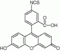 异硫氰酸荧光素