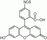 异硫氰酸荧光素