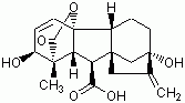 赤霉素