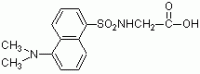 丹磺酰甘氨酸