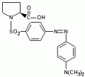 4-二甲氨基偶氮苯-4'-磺酰-L-脯氨酸
