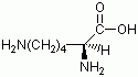 L-(+)-赖氨酸