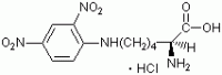 Nε-(2,4-二硝基苯基)-L-赖氨酸盐酸盐