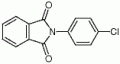 N-(4-氯苯基)邻苯二甲酰亚胺