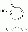 4-异丙基环庚三烯酚酮