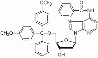 N6-苯甲酰基-5'-O-(4,4'-二甲氧基三苯甲基)-2'-脱氧腺苷