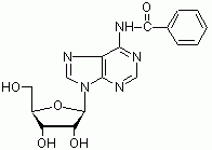 N6-苯甲酰基腺苷