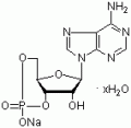腺苷-3',5'-环状单磷酸钠水合物