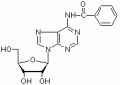 N6-苯甲酰基腺苷