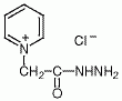 N-氯-N-吡啶基乙酰肼