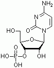 胞苷-3'-单磷酸