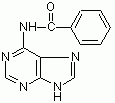 N6-苯甲酰基腺嘌呤