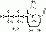 腺苷-5'-二磷酸钠盐水合物