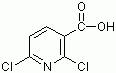 2,6-二氯烟酸