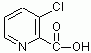 3-氯-2-吡啶甲酸