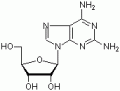 2-氨基腺嘌呤核苷