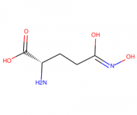 L-GLUTAMIC ACID GAMMA MONOHYDROXAMATE