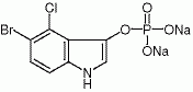 5-溴-4-氯-3-吲哚基磷酸二钠盐