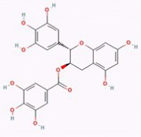 没食子儿茶素没食子酸酯
