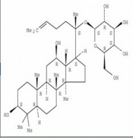 20(S)-人参皂苷C-K