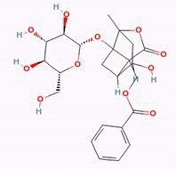 芍药内酯苷