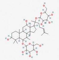 人参皂苷Rg1