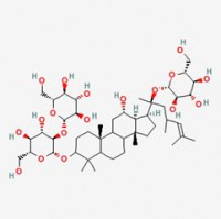 人参皂苷Rd