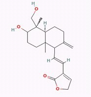 脱水穿心莲内酯
