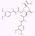 异绿原酸B（3,4-二咖啡酰奎宁酸）