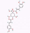 洋蓟素/1,3-二咖啡酰奎宁酸