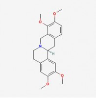 延胡索乙素