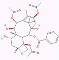 13-乙酰基-9-羟基巴卡丁III