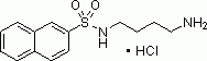 N-(4-氨基丁基)-2-萘磺酰胺,盐酸盐